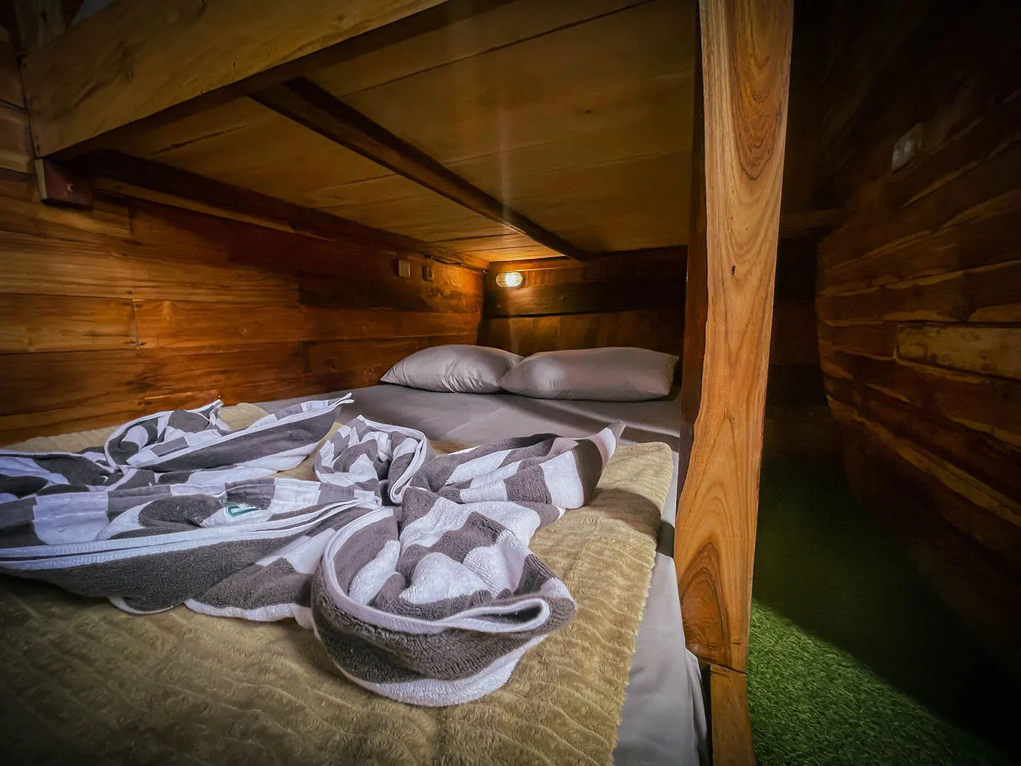 Bedroom 2_Sharing Room 1_Octopus